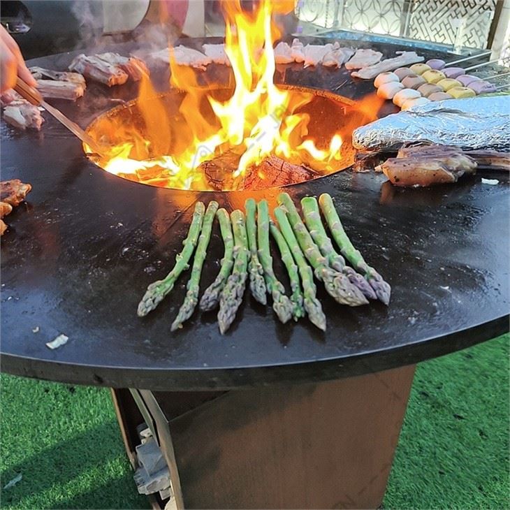 Charcoal Wood Bbq
