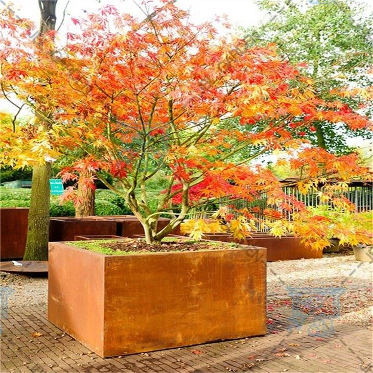 Large Tall Planter