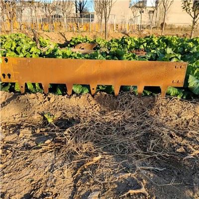 Cortenstaal tuinrand bloem