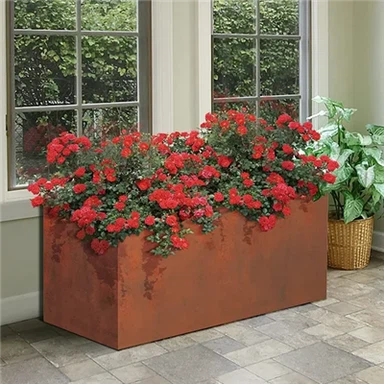 Plantenpot voor buiten